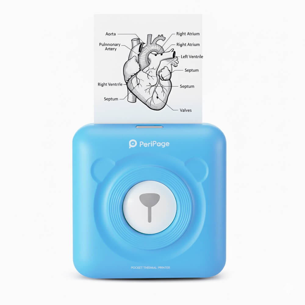 TEDDYPRINT Imprimante Portable