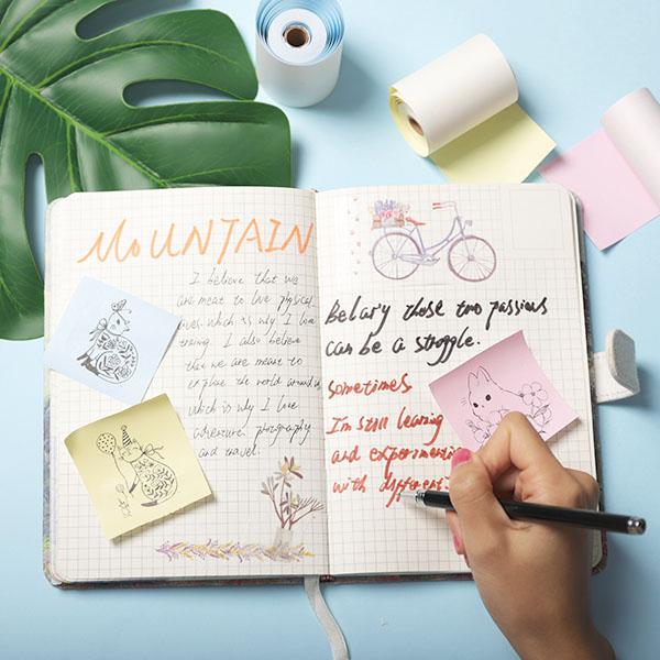 TEDDYPRINT® Papier Couleur 3 Rouleaux - teddyprintpocket